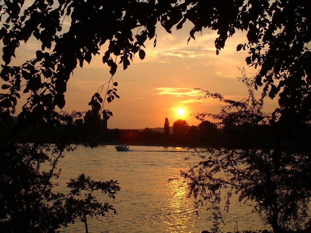 Zur Rheinschanz Bad Honningen Bagian luar foto